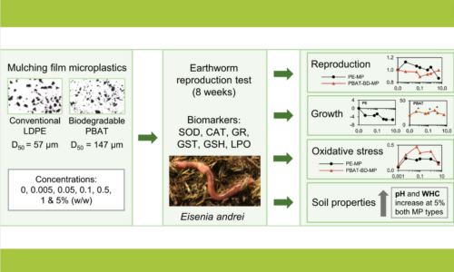 Reproduction, growth and oxidative stress in earthworm Eisenia andrei exposed to conventional and biodegradable mulching film microplastics