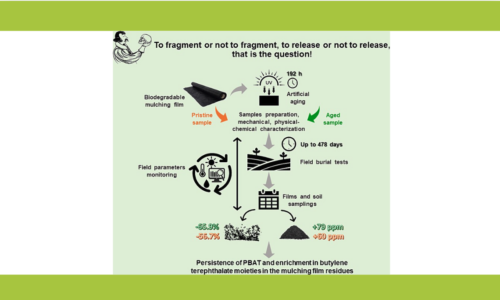 Biodegradable Mulching Films : What Happens to Them After 16 Months in Agricultural Soils ?