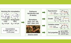 The impact of microplastics on earthworms and soil health : a network of complex interactions